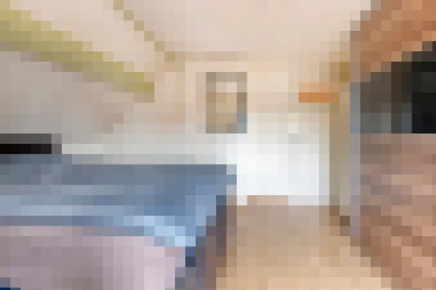 Scheidingstraat 16 Elshout thumbnail 25