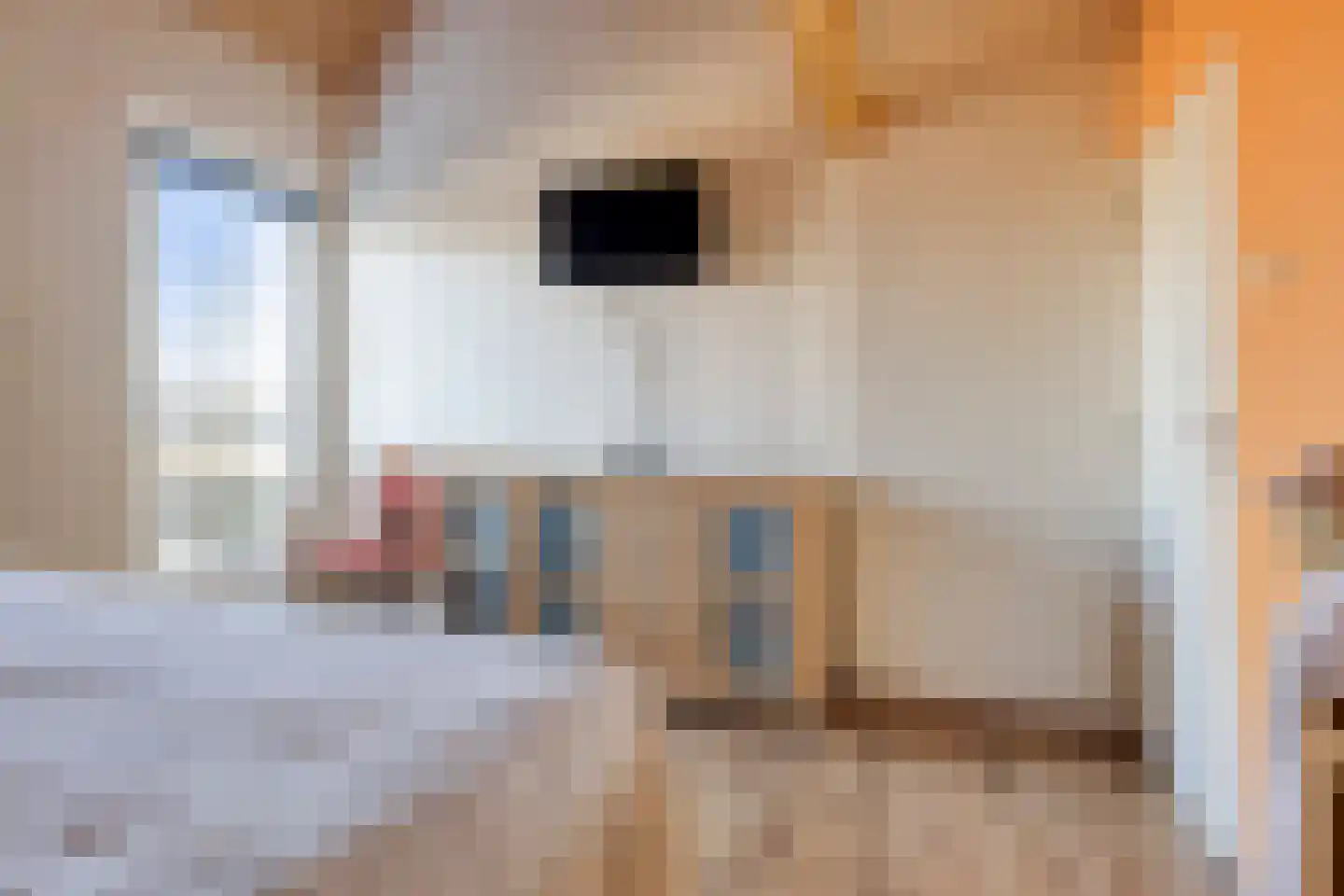 Scheidingstraat 16 Elshout thumbnail 47