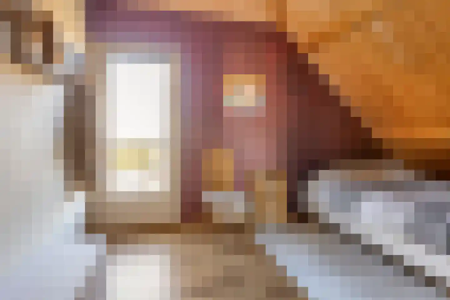 Scheidingstraat 16 Elshout thumbnail 48