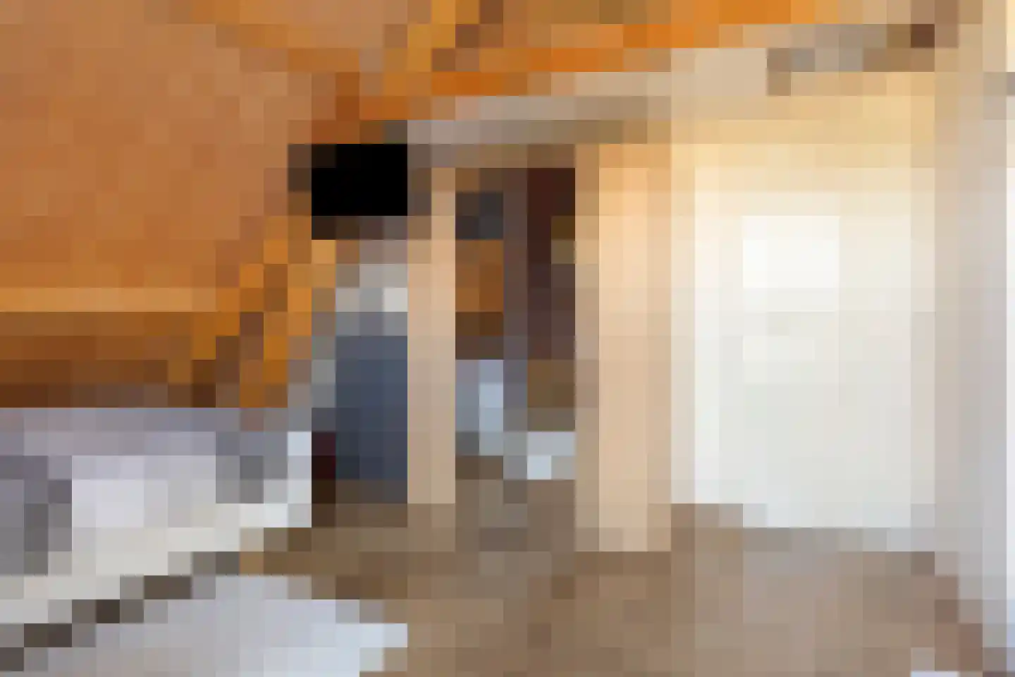 Scheidingstraat 16 Elshout thumbnail 50