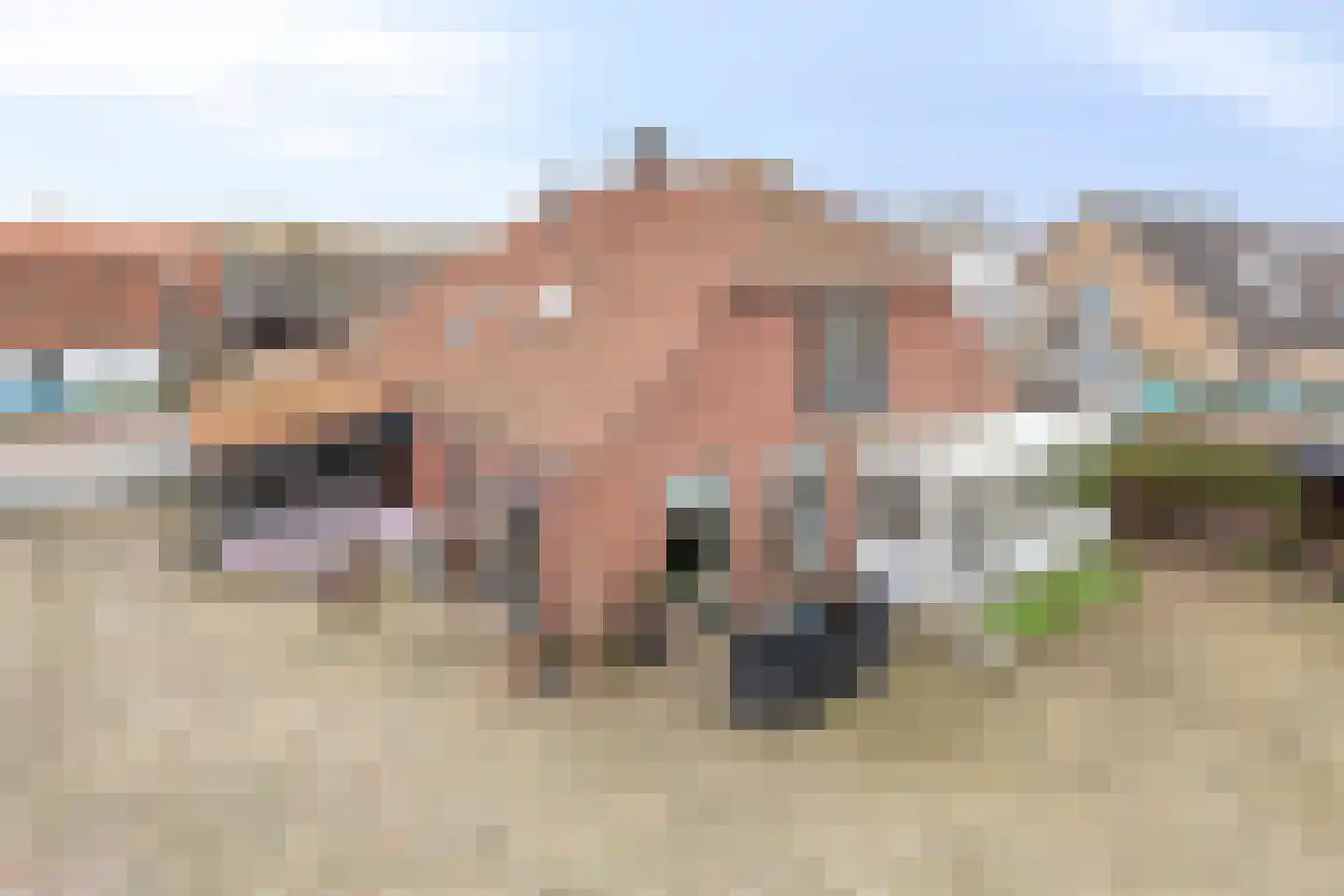 Scheidingstraat 16 Elshout thumbnail 74