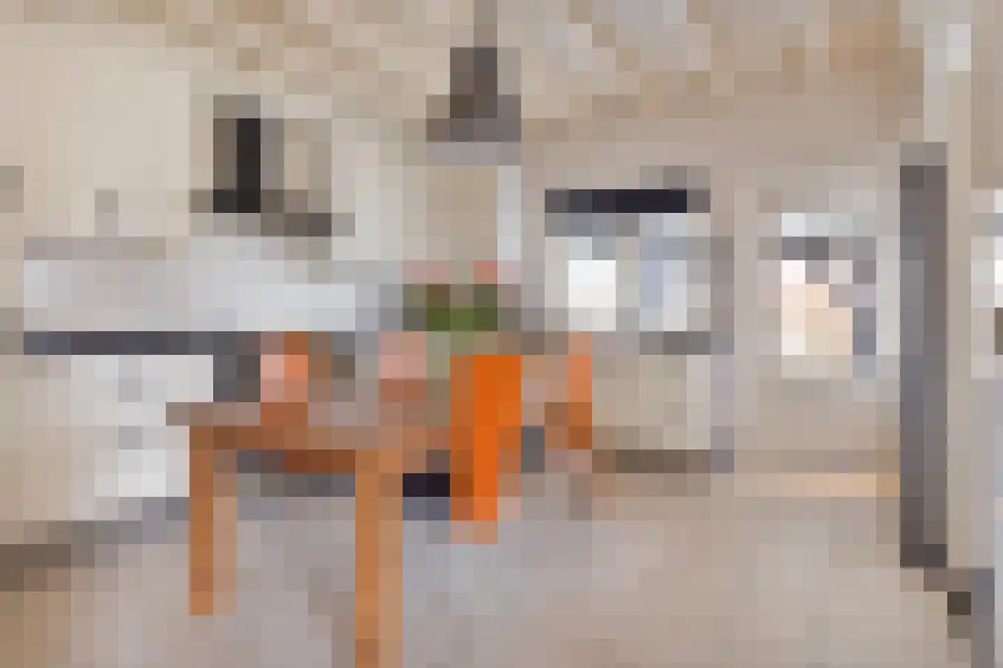 Scheidingstraat 16 Elshout thumbnail 9