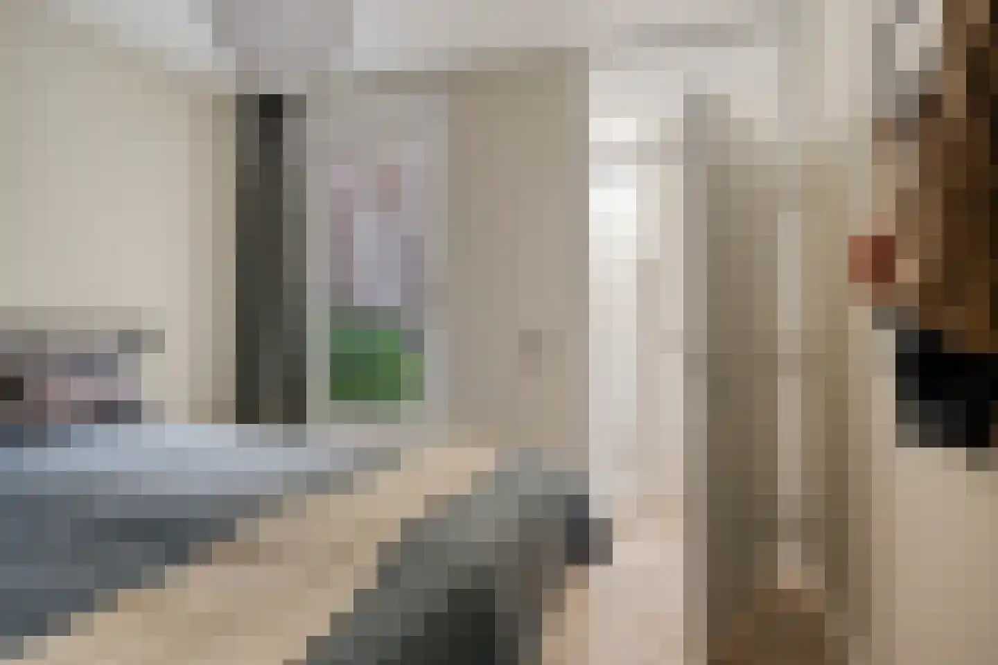 Scheidingstraat 17 's-Hertogenbosch thumbnail 20