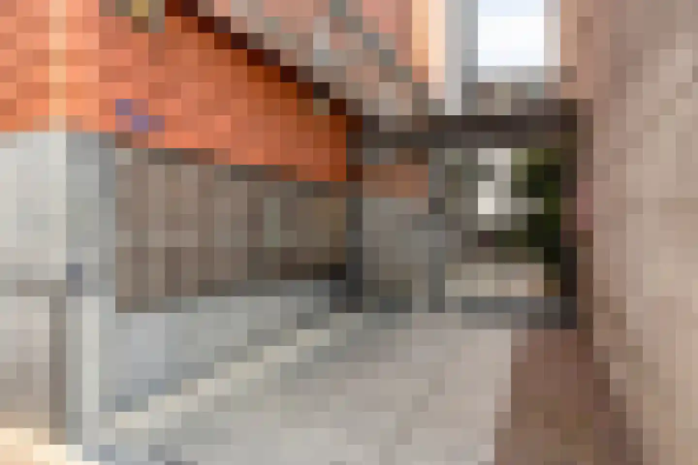 Scheidingstraat 17 's-Hertogenbosch thumbnail 33