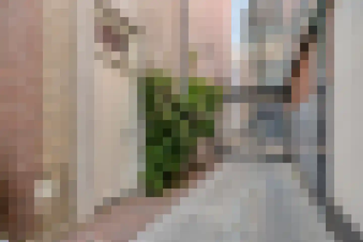 Scheidingstraat 17 's-Hertogenbosch thumbnail 34