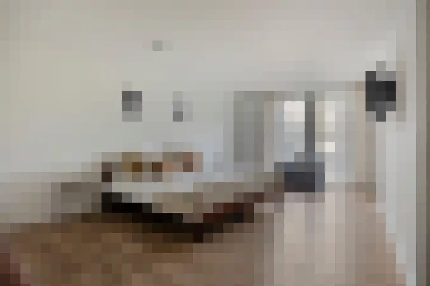 Scheidingstraat 27 's-Hertogenbosch thumbnail 16