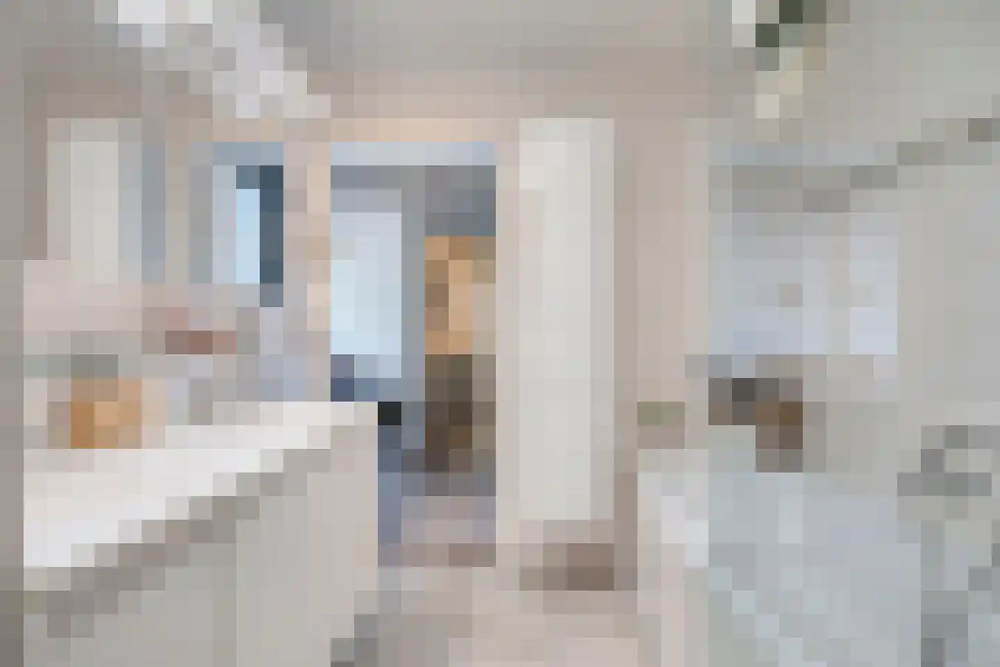 Scheidingstraat 27 's-Hertogenbosch thumbnail 23