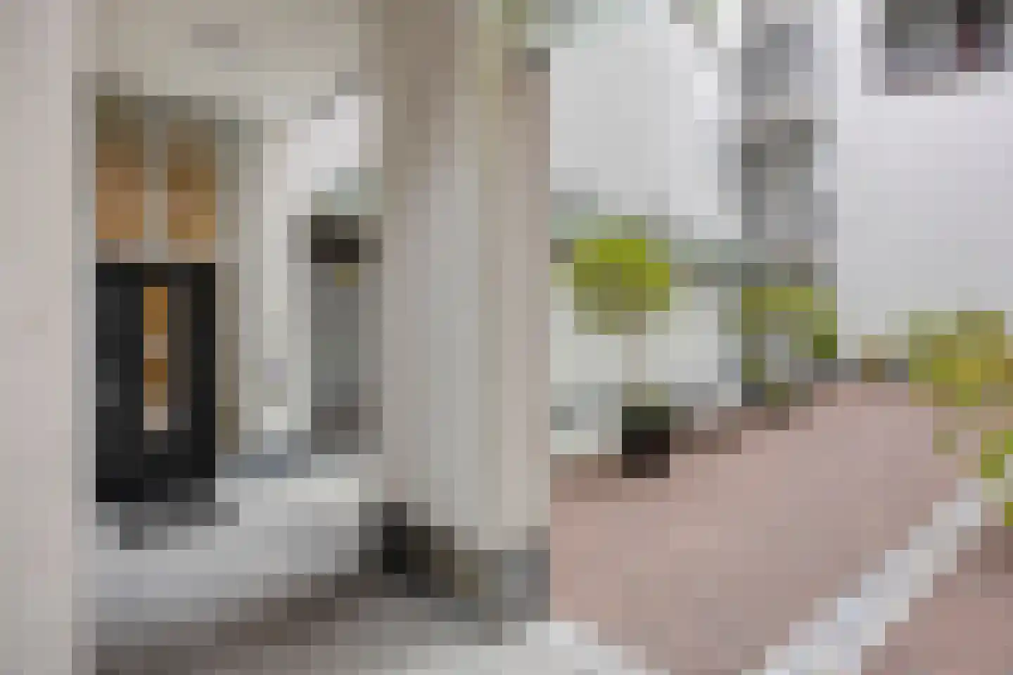 Scheidingstraat 27 's-Hertogenbosch thumbnail 27