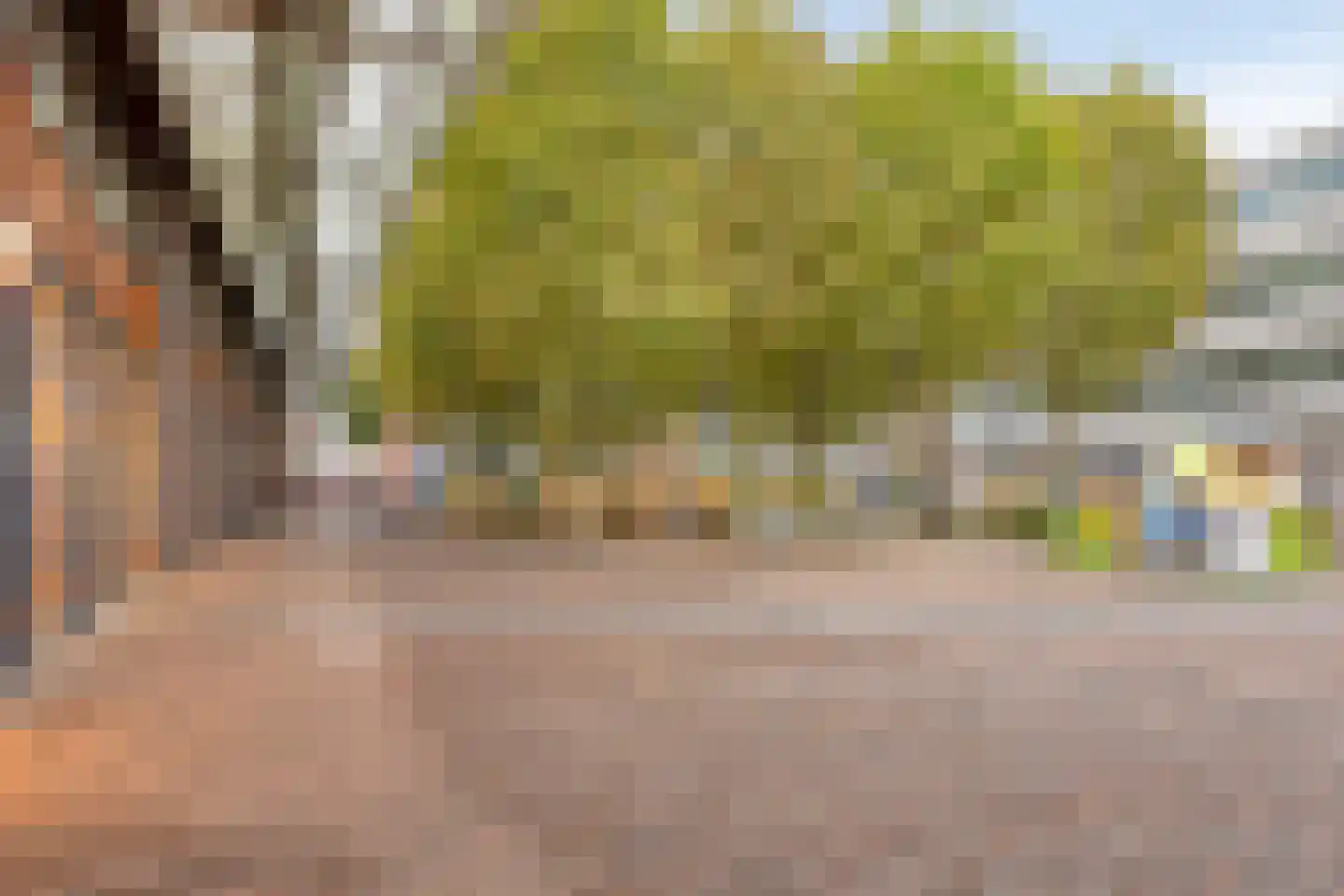 Scheidingstraat 27 's-Hertogenbosch thumbnail 31