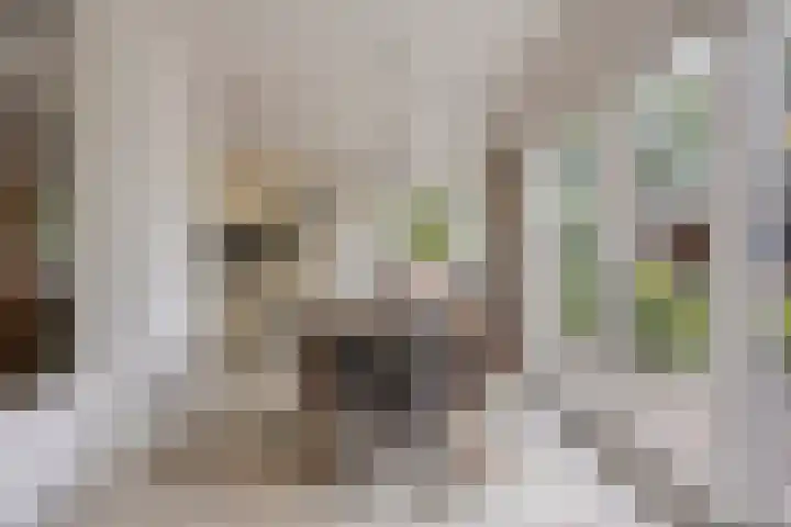 Scheidingstraat 31 Elshout thumbnail 14