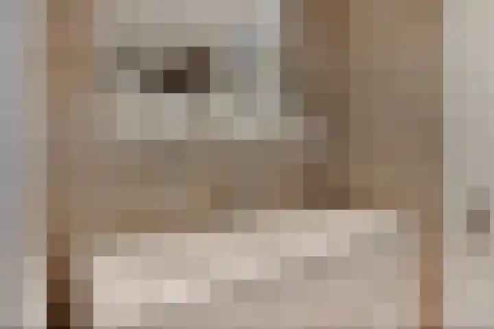 Scheidingstraat 31 Elshout thumbnail 21