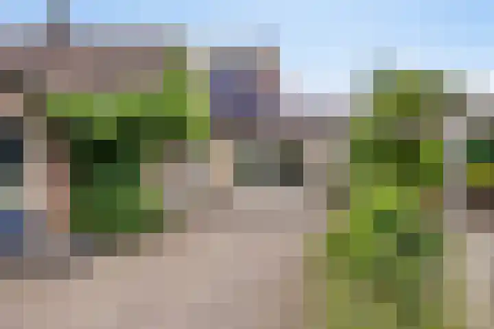 Scheidingstraat 31 Elshout thumbnail 33