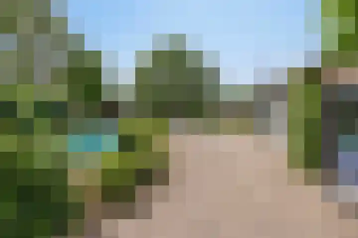 Scheidingstraat 31 Elshout thumbnail 35