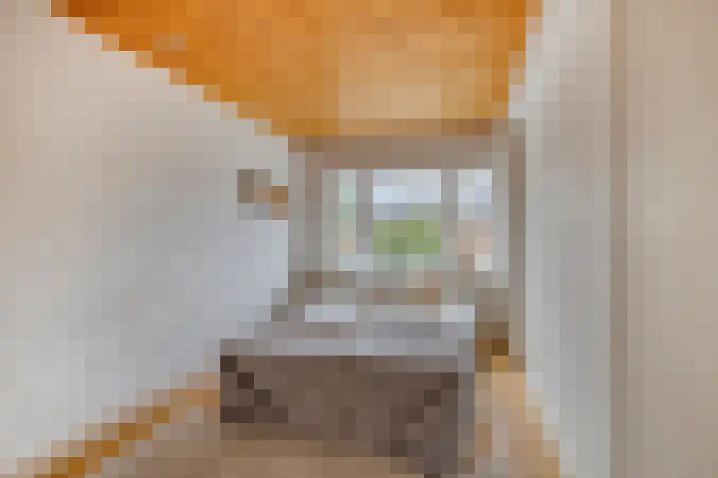 Scheidingstraat 52 Eindhoven thumbnail 16