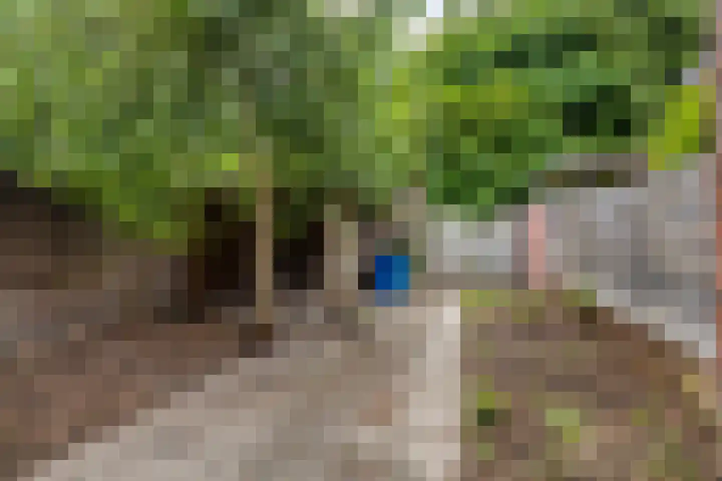 Scheidingstraat 52 Eindhoven thumbnail 25