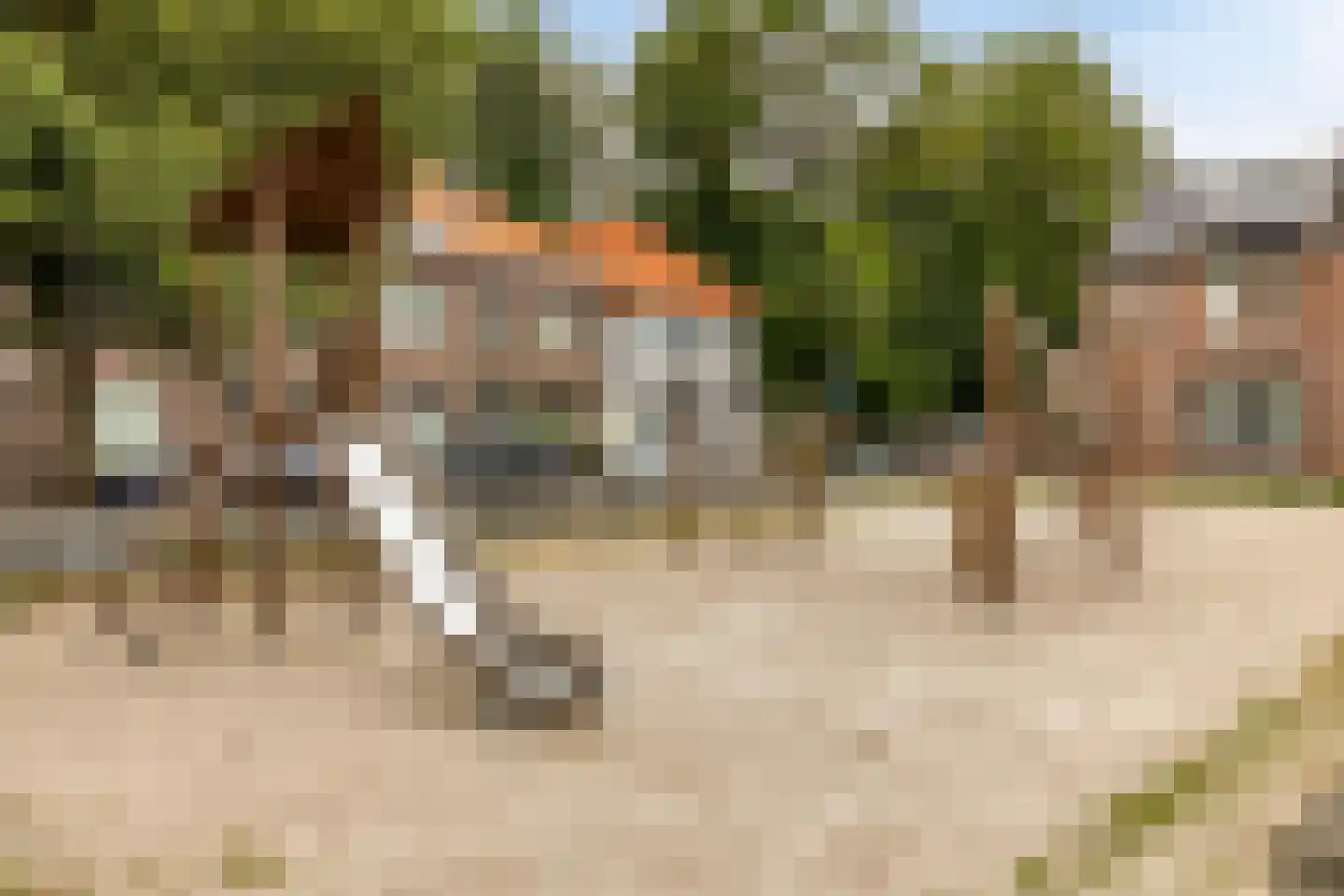 Scheidingstraat 52 Eindhoven thumbnail 30