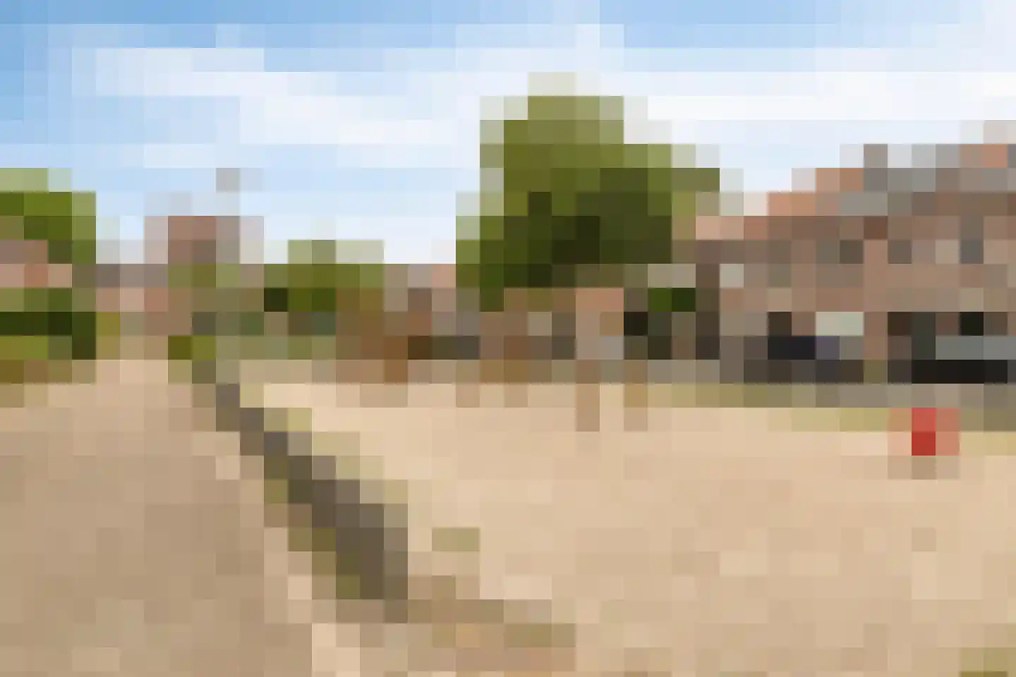 Scheidingstraat 52 Eindhoven thumbnail 31