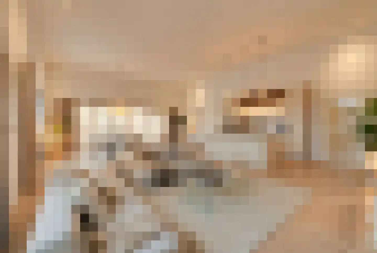 Scheidingstraat 55 's-Hertogenbosch thumbnail 13
