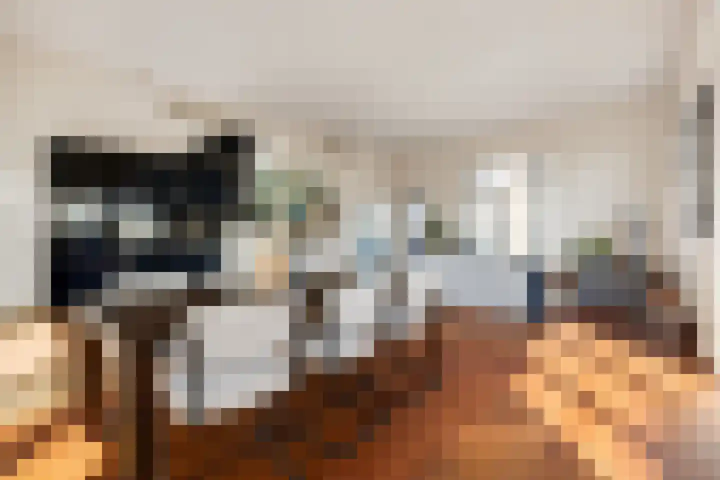 Scheidingstraat 55 's-Hertogenbosch thumbnail 17