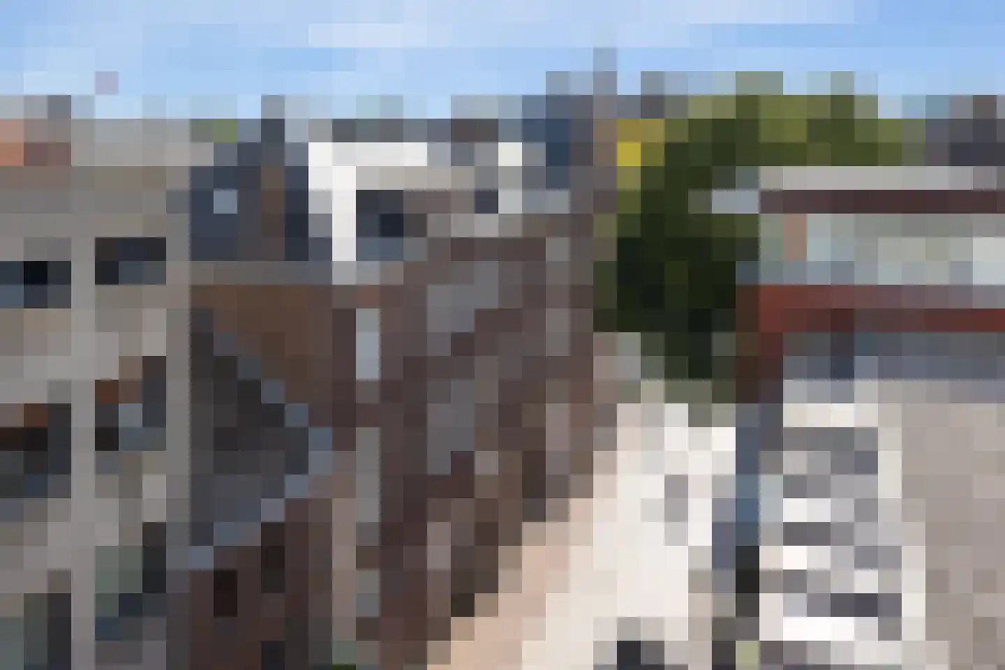 Scheidingstraat 55 's-Hertogenbosch thumbnail 19