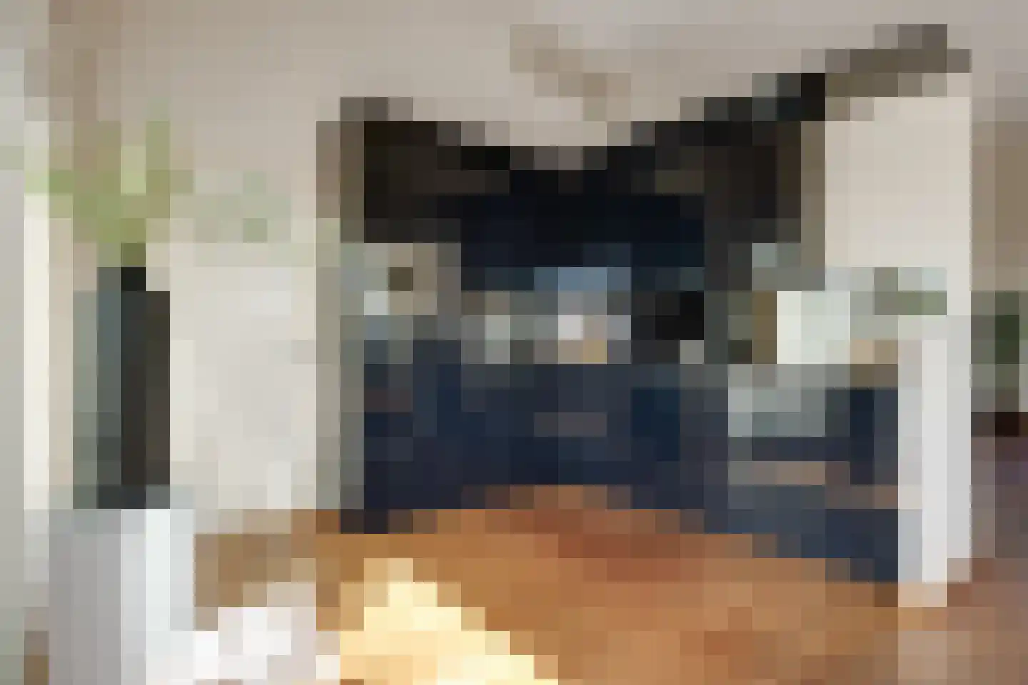 Scheidingstraat 55 's-Hertogenbosch thumbnail 20