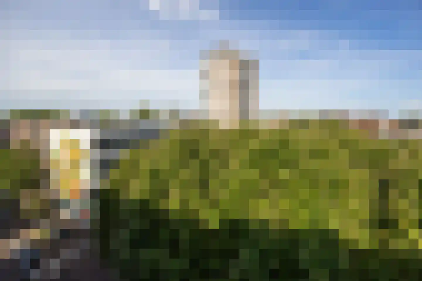 Scheidingstraat 55 's-Hertogenbosch thumbnail 25