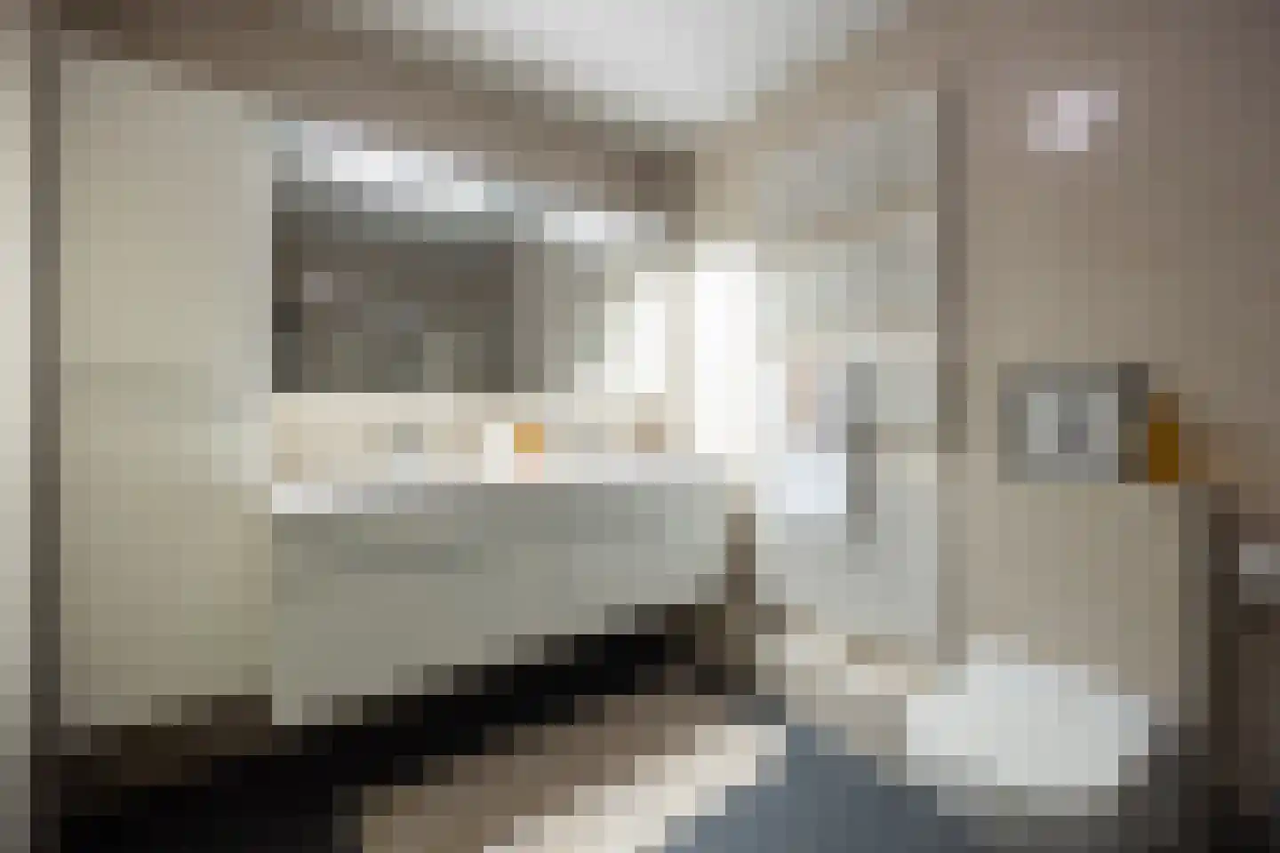 Scheidingstraat 55 's-Hertogenbosch thumbnail 38