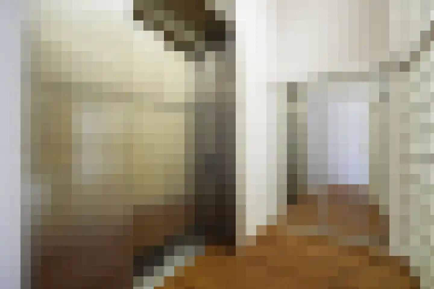 Scheidingstraat 55 's-Hertogenbosch thumbnail 39