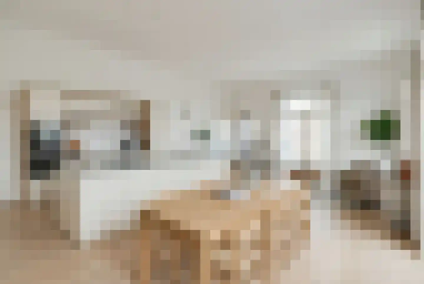 Scheidingstraat 55 's-Hertogenbosch thumbnail 4