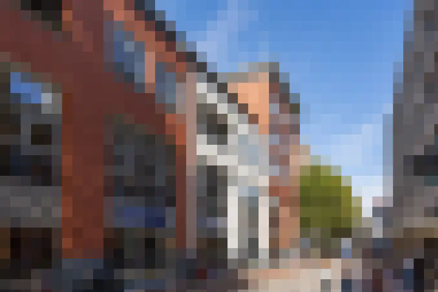 Scheidingstraat 55 's-Hertogenbosch thumbnail 42