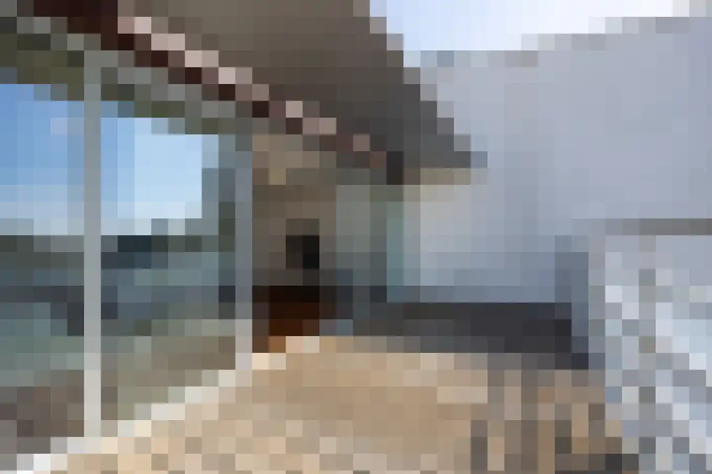 Scheidingstraat 55 's-Hertogenbosch thumbnail 42