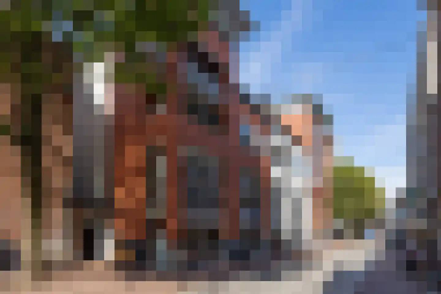 Scheidingstraat 55 's-Hertogenbosch thumbnail 43