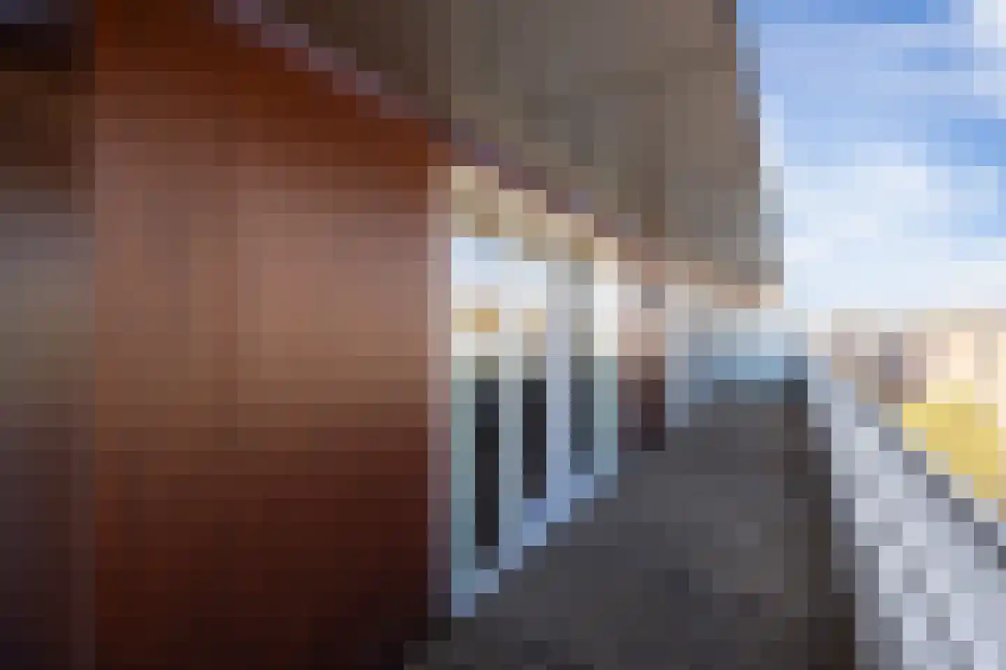 Scheidingstraat 55 's-Hertogenbosch thumbnail 43