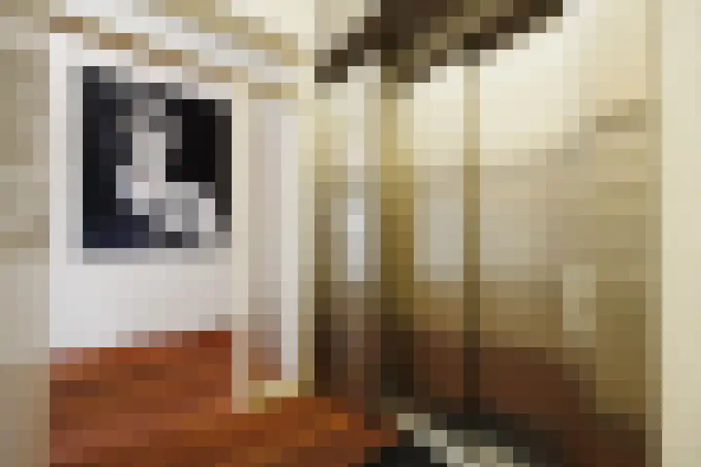 Scheidingstraat 55 's-Hertogenbosch thumbnail 44