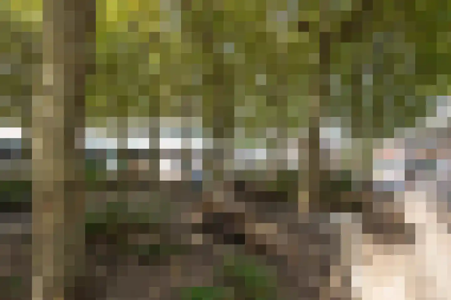 Scheidingstraat 55 's-Hertogenbosch thumbnail 45