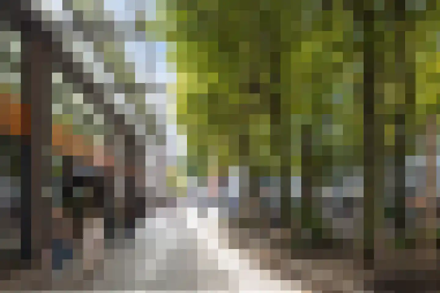 Scheidingstraat 55 's-Hertogenbosch thumbnail 46