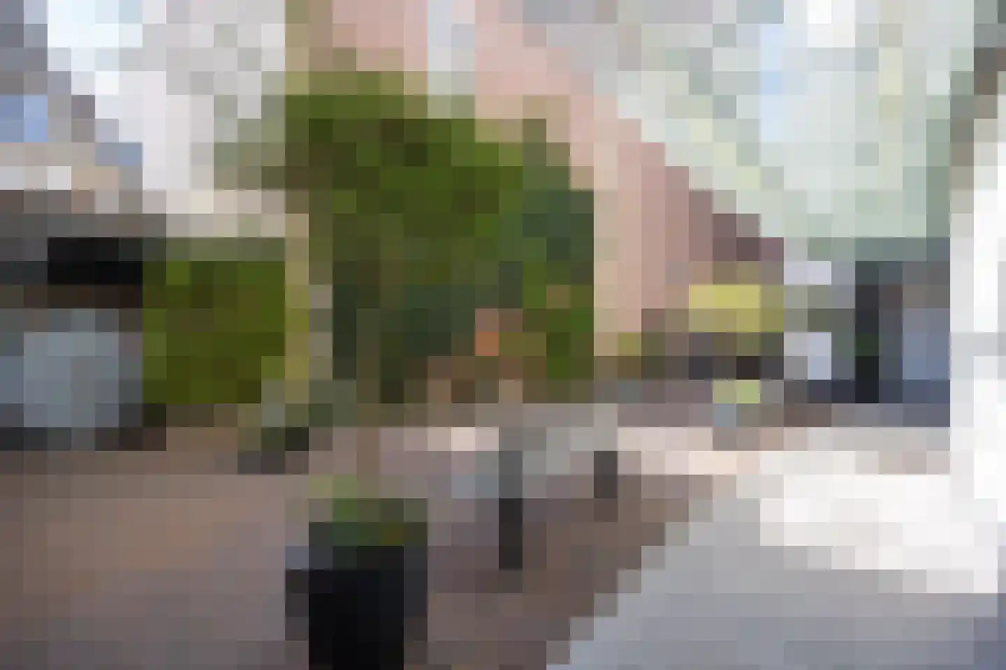 Scheidingstraat 55 's-Hertogenbosch thumbnail 46