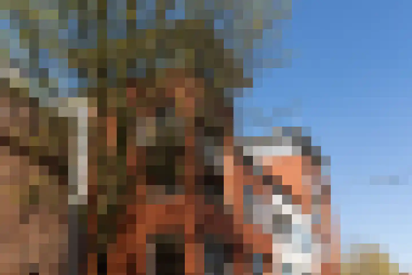 Scheidingstraat 55 's-Hertogenbosch thumbnail 47