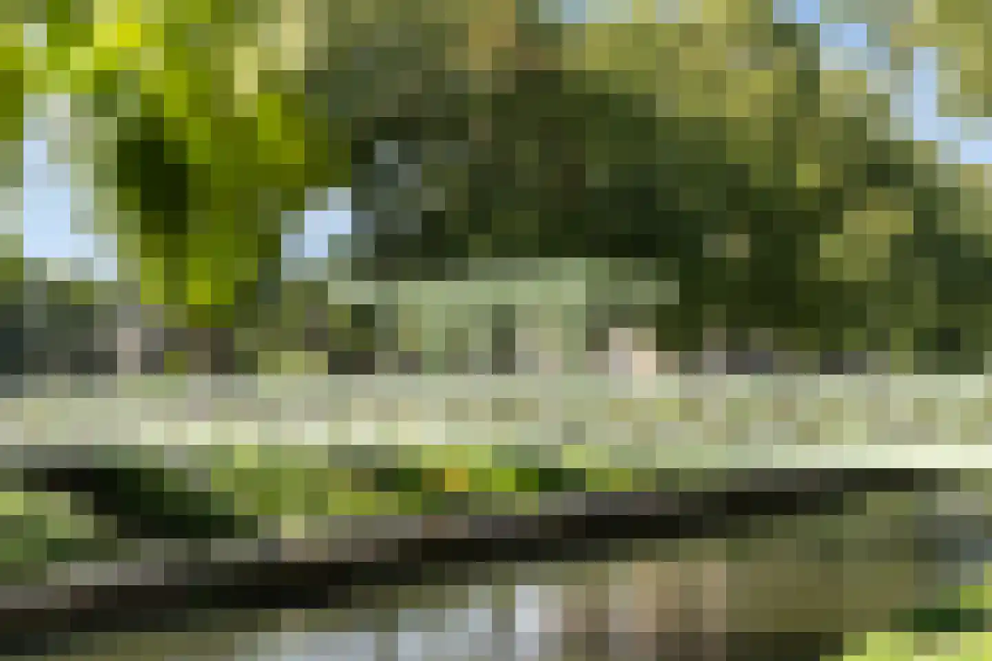 Scheidingstraat 55 's-Hertogenbosch thumbnail 48