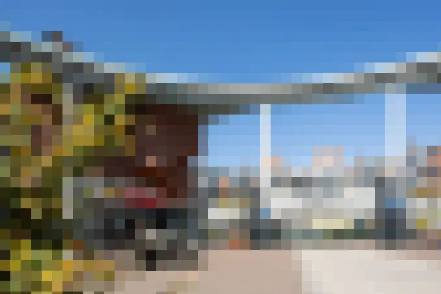 Scheidingstraat 55 's-Hertogenbosch thumbnail 48