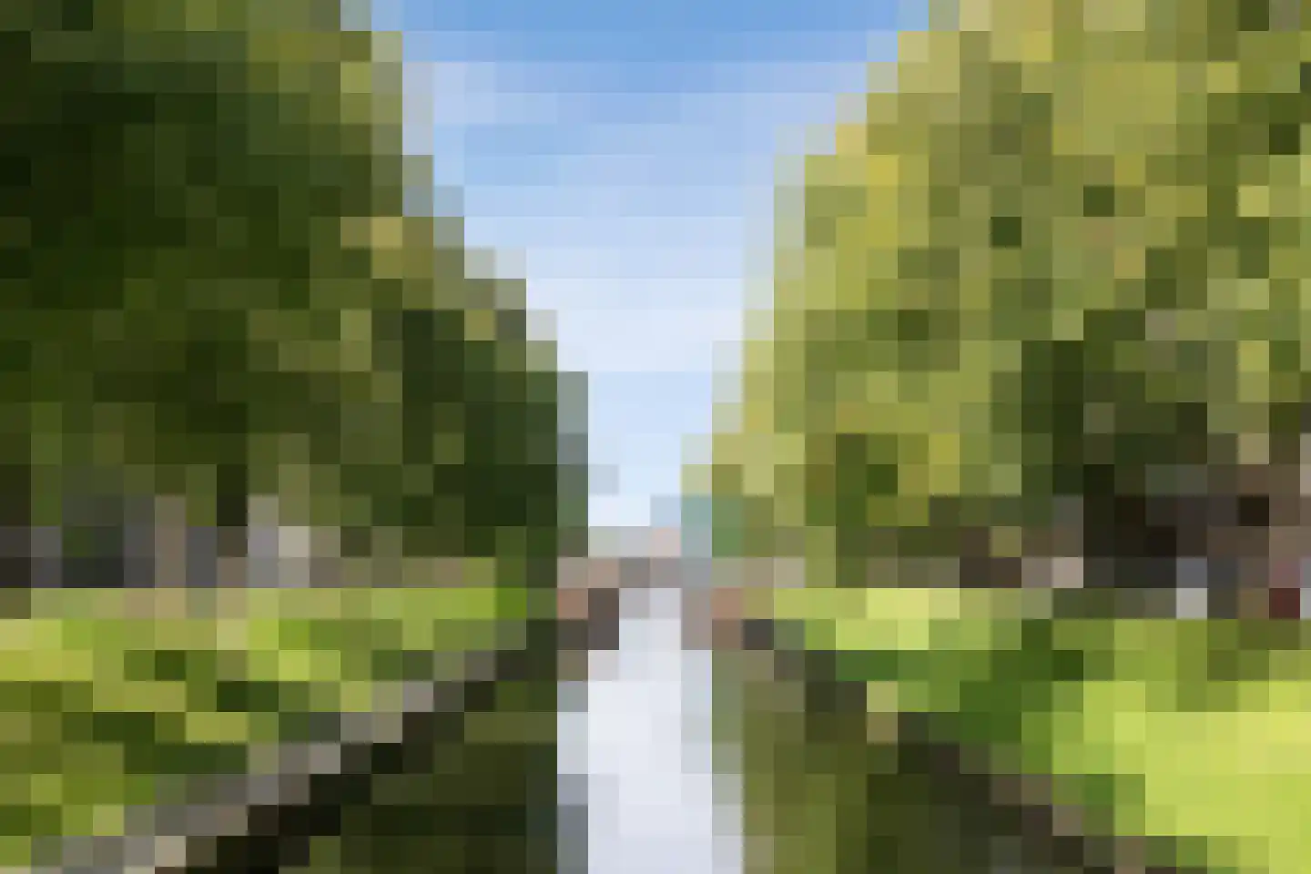 Scheidingstraat 55 's-Hertogenbosch thumbnail 49