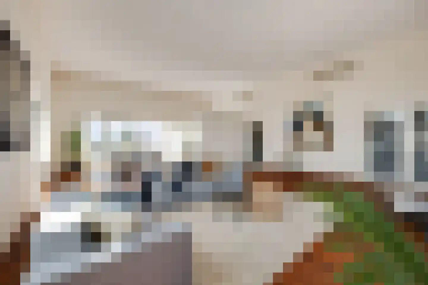 Scheidingstraat 55 's-Hertogenbosch thumbnail 6