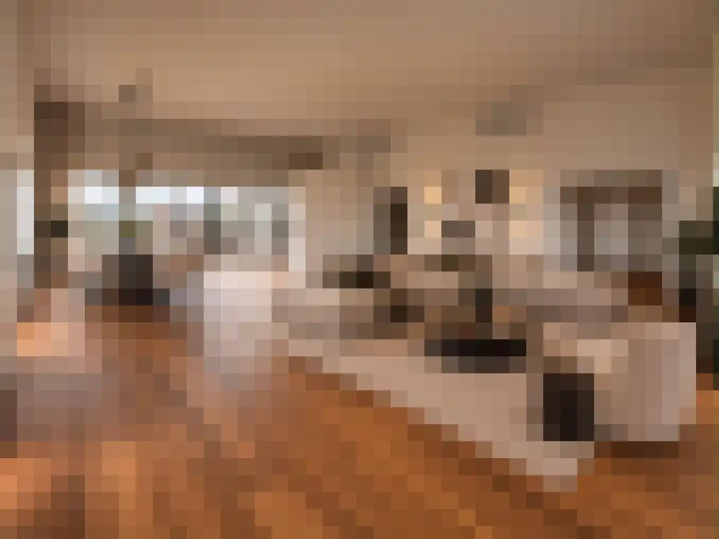 Scheidingstraat 55 's-Hertogenbosch thumbnail 6