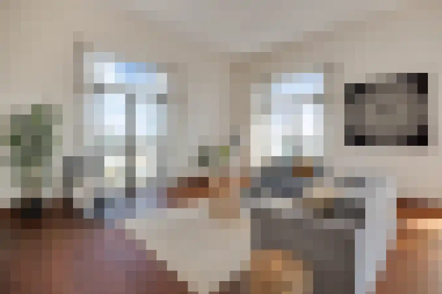 Scheidingstraat 55 's-Hertogenbosch thumbnail 7