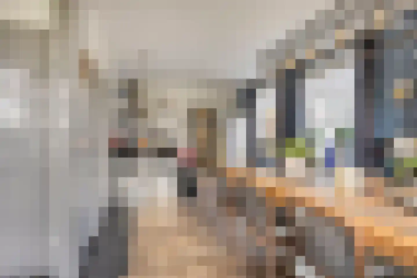 Scheidingsweg 10 Odiliapeel thumbnail 10