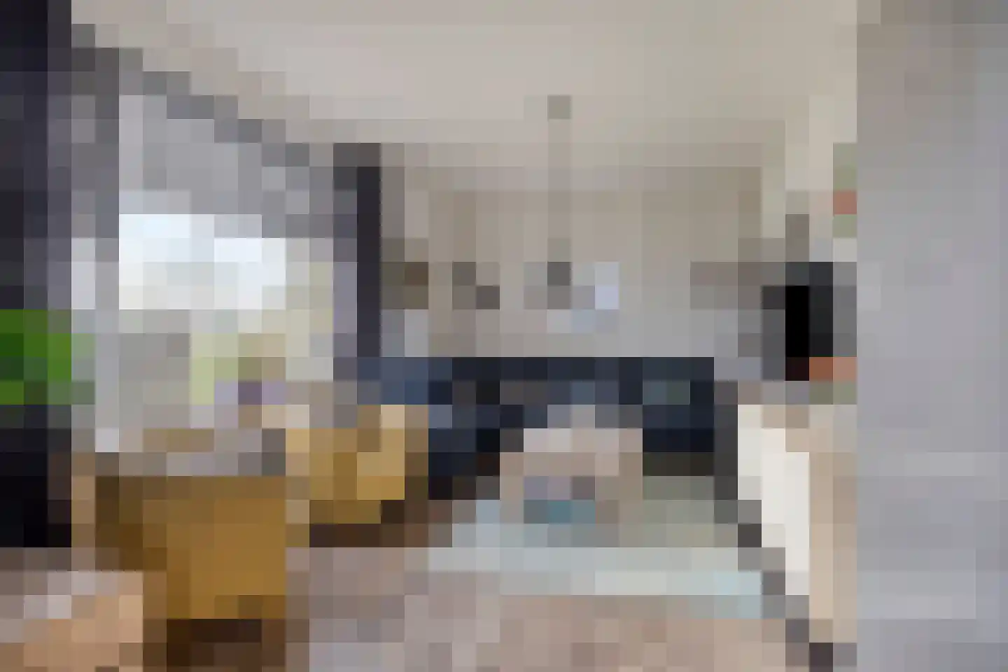Scheidingsweg 10 Odiliapeel thumbnail 12