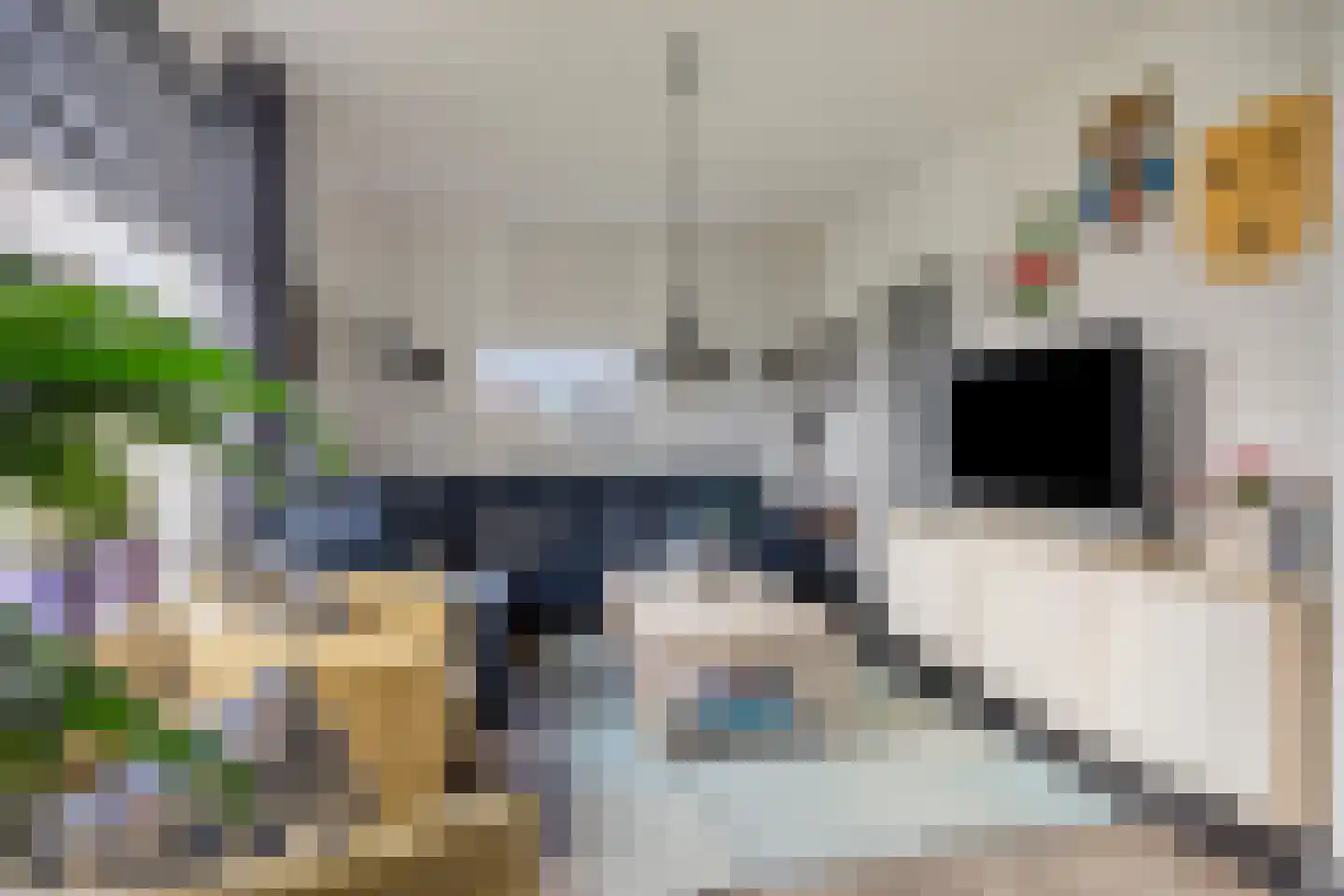 Scheidingsweg 10 Odiliapeel thumbnail 13