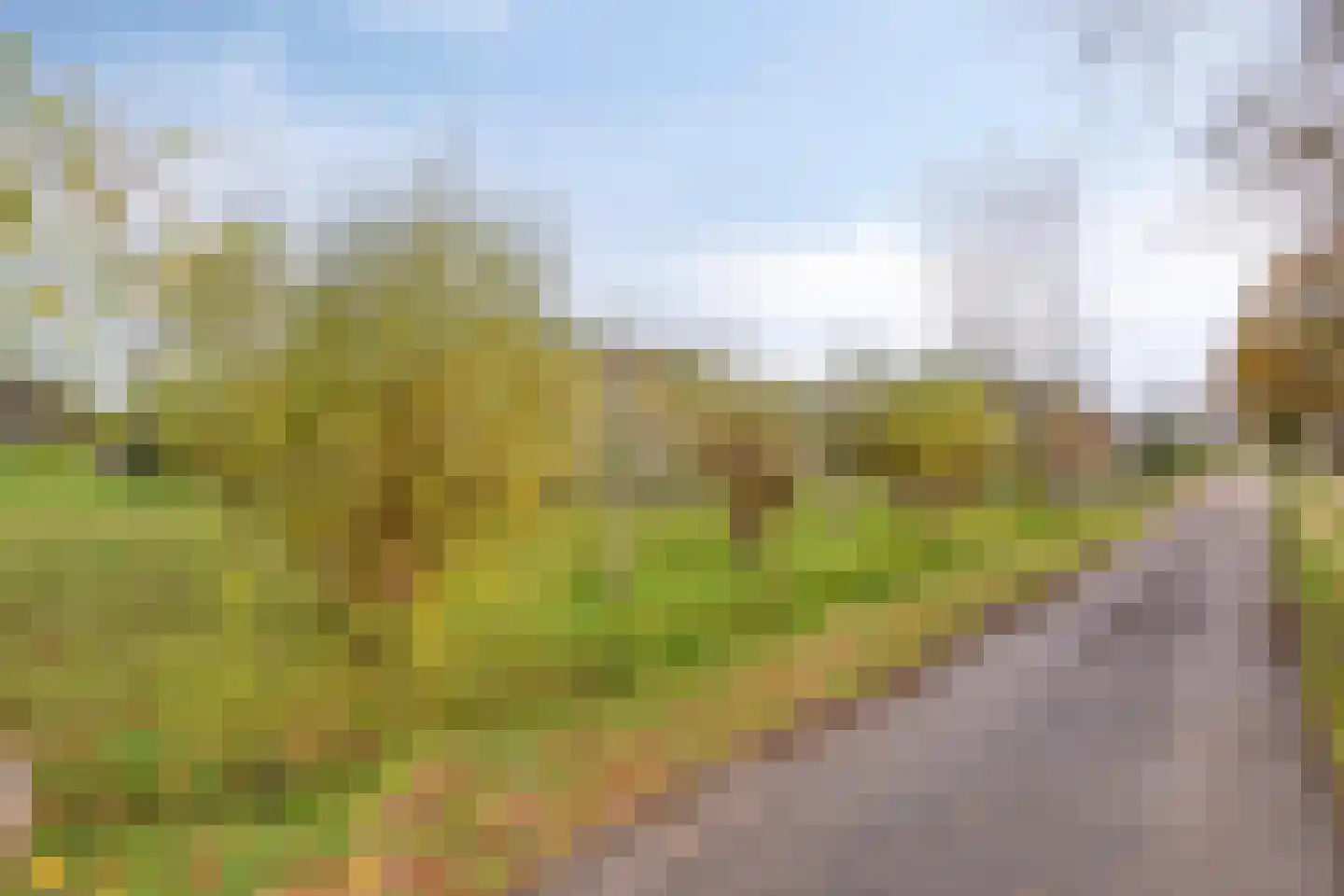 Scheidingsweg 10 Odiliapeel thumbnail 4