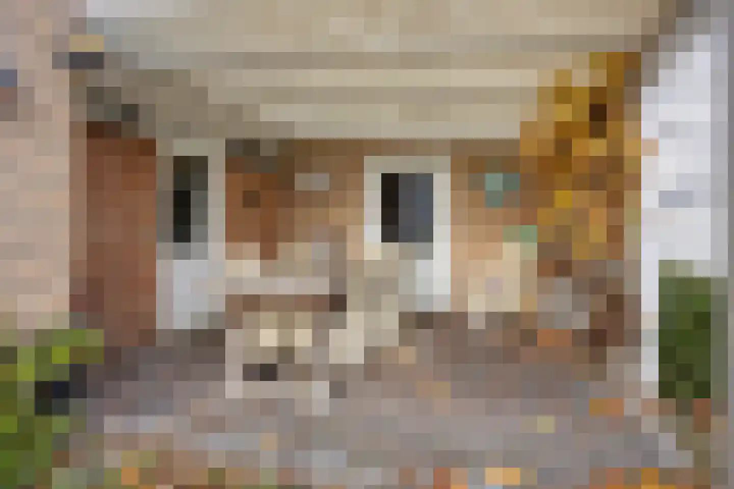 Scheidingsweg 10 Odiliapeel thumbnail 5
