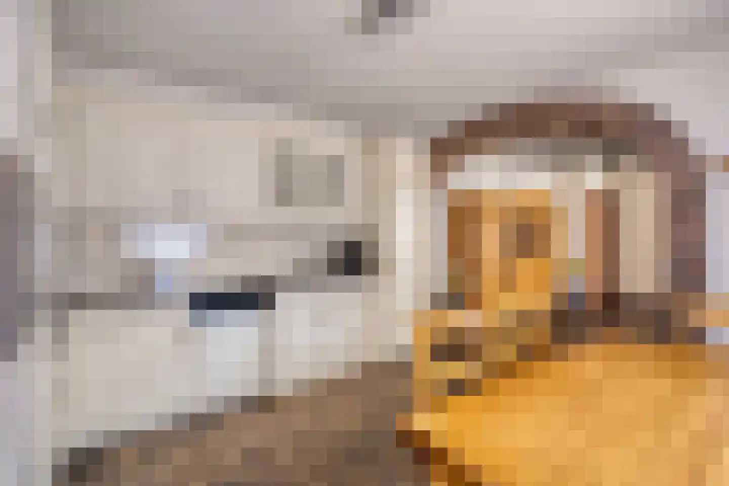 Scheidingsweg 13 Roermond thumbnail 16